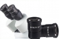 Preview: Stereo Zoom Mikroskop - ASTISS MS6A45 - Binokluar